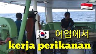 kerja perikanan korea 