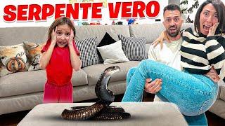 UN SERPENTE VERO  ENTRA NEL GIARDINO DELLA NOSTRA NUOVA CASA