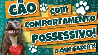 CÃO COM COMPORTAMENTO POSSESSIVO Como fazer?