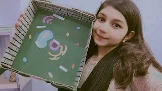 Plant cell model 3d for school science fair project  DIY biology project  Day with me