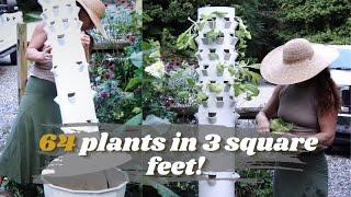 Tower Garden Home Unit. What to Grow in the Baby Greens Extension.