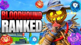 High Level Bloodhound Ranked Gameplay - Apex Legends No Commentary