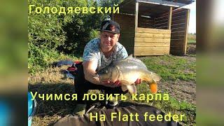 Продолжаем учиться ловить карпов на flatt фидер август жарко но клюёт