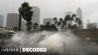 How Hurricanes Form And Why Theyre Getting Stronger  Decoded