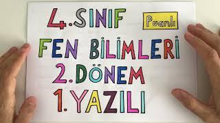 4. Sınıf Fen Bilimleri 2. Dönem 1. Yazılı puanlı