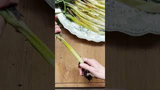 Recipe Calçots