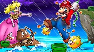 Peach Caught. What does Mario do to rescue Peach?  Funny Animation  The Super Mario Bros. Movie