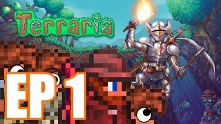 3 Noobs and 1 Pro Play Terraria 1.4.4 for First Time EP 1