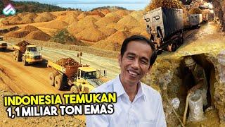 HARTA KARUN DI PERUT BUMI NTB SAINGI PT FREEPORT Inilah 8 Tambang Emas Raksasa di Indonesia