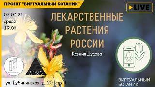 Лекция Лекарственные растения курса Ботанические заметки полезные и опасные