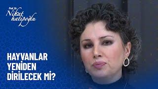 Hayvanlar yeniden dirilecek mi? - Nihat Hatipoğlu