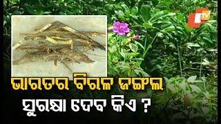 Theft Of Rare Medicinal Plants Reported From Balukhand Sanctuary