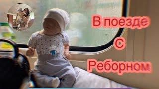 VLIG В поезде с реборном Реакция на реборна? Ева сломала ногу???