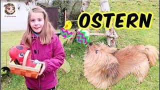 FROHE OSTERN  Der Osterhase war da  Nester mit Geschenken für Hannah Ellie und die Katzen