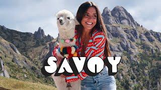 Savoy - Acolo In Varf De Munte Mentol Remix