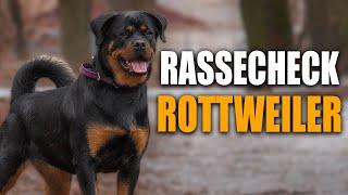 ROTTWEILER Rassecheck - Rasseportrait Rassebeschreibung Informationen zur Rasse