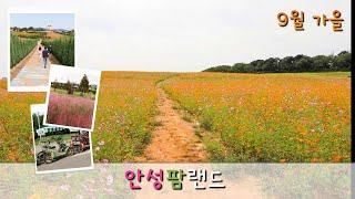 안성팜랜드가을여행지 추천경기도아이와갈만한곳그냥 걸어도 좋네요.Anseong FarmlandKorea Travel Destination