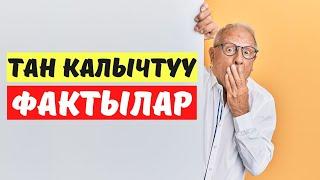 Кызыктуу маалыматтар  Тан калыштуу фактылар