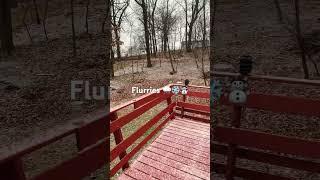 Snow Flurries #christmas #snow #winter #calmingsounds #nature