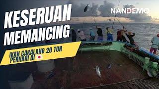 Setiap sore di serang pasukan ikan cakalang . Pole and line japan . Skipjack tuna