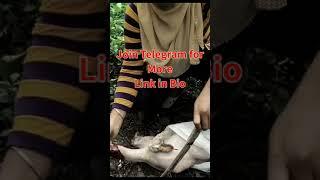 Girl Slaughter chicken for food  chicken Slaughter by woman #Ladybutcher