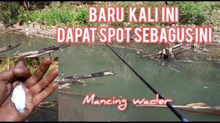 SPOT LOKAL SEPERTI MANCING DITAIWAN... Ikan melimpah sambaran tiada henti