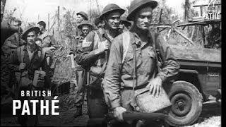 Australians From Balikpapau 1945