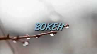 Video Bokeh Mantap 2021 Terbaru