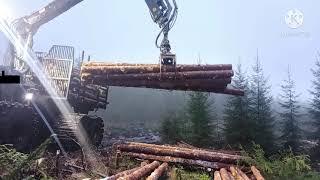 Logset 8f gt unloading small pine logs