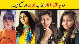 Pakistani Child Stars Who Became Famous Celebrities Now Child Stars Then and Now
