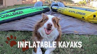 Challenger K2 vs Explorer K2 - Best Inflatable Kayaks for Traveling with Dogs