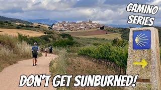 Camino #8 Puente la Reina to Estella Sunburn Alert + Amazon Picks ️ Camino Frances