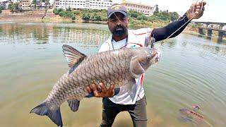 My Dream Fish Masheer Catch In River 8Kg  Masheer Fishing  महशिर मछलि का शिकार