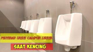 Penyebab Urine Bercampur Dengan Lendir Putih Saat Berkemih