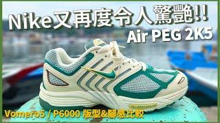 Nike Air PEG 2K5 Review & On Feet and the comparison to Vomero 5  P-6000  Leo Chien