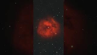 Cocoon Nebula IC5146 from an 11” telescope #cocoon #nebula #IC5146 #space #telescope