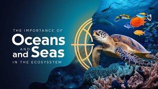 Why Oceans and Seas Are Crucial for Our Ecosystem A Deep Dive into Marine Life