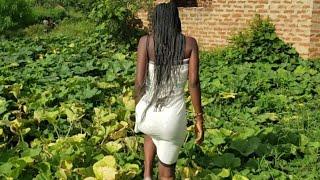 African Village girls life  Pumpkin  harvesting  #lifestyle #villagelife #africa #world