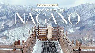 Magical Winter Trip to Nagano  Snow Monkeys and Hakuba Iwatake Mountain Resort ️️
