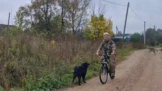 Хроника яркого дня который запомнится надолго