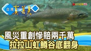 逆流而上的“虹鱒魚”｜養鱒處優 ｜【台灣真善美】2022.09.04