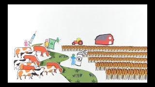 The Environmental Impact of Livestock -  RUVIVAL Toolbox