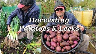 Autumn Veg Harvest & Quick Roundup