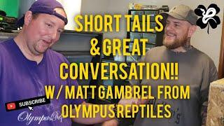 Talking short tails with Matt Gambrel from Olympus Reptiles