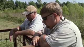 Louisiana Feral Hogs - Americas Heartland