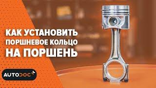 Как установить поршневое кольцо на поршень  #autodoc #lifehack