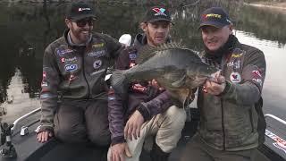 Copeton dam Golden Perch and Murray Cod