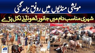 Eid -ul-Adha 2023 Situation of cattle markets in different cities