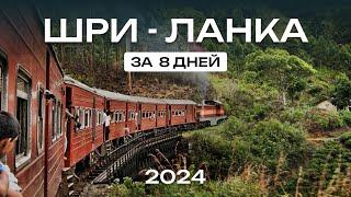 ШРИ ЛАНКА ЗА 8 ДНЕЙ лучший отдых у океана  незабываемое путешествие на край света стоит ли ехать?