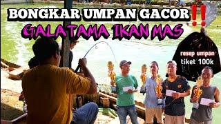 mancing galatama ikan mas umpan ASPAL makanin banget ‼️ #GP-104